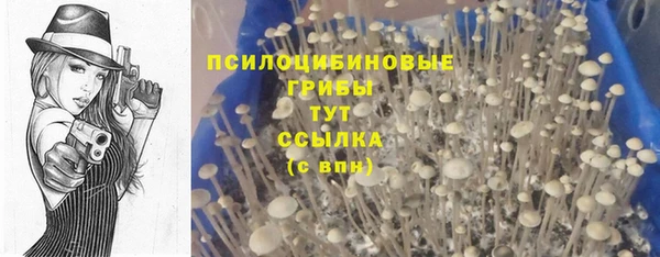 мяу мяу мука Зерноград