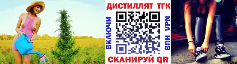 ТГК THC oil  где можно купить наркотик  Шадринск 