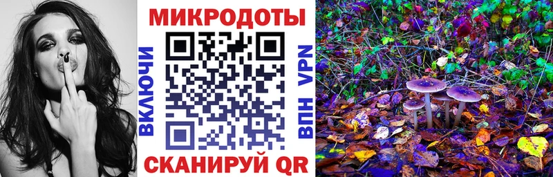 Псилоцибиновые грибы GOLDEN TEACHER  кракен зеркало  Шадринск  купить закладку 