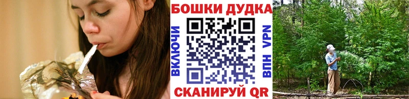 Конопля SATIVA & INDICA  что такое наркотик  Шадринск 