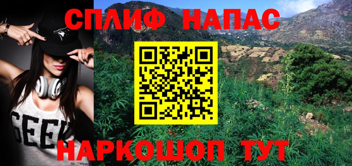 Бошки Шишки Amnesia Шадринск